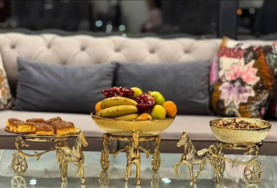 سرویس وذیرایی اسب و کالسکه